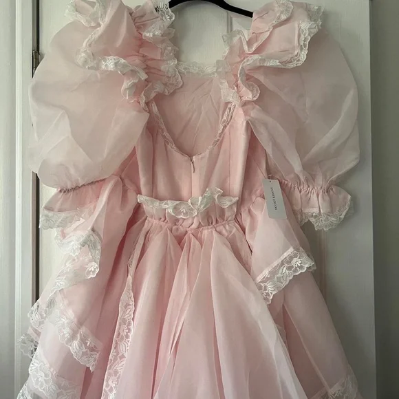 NWT Selkie Duchess Sugarfrill Dress in Baby Soft Pink size Small - Picture 4 of 10